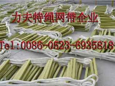 Polyester Webbing Sling,Round Sling